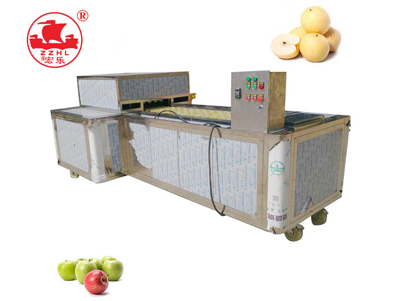 Green Plum Coring And Cutting Petals Machine