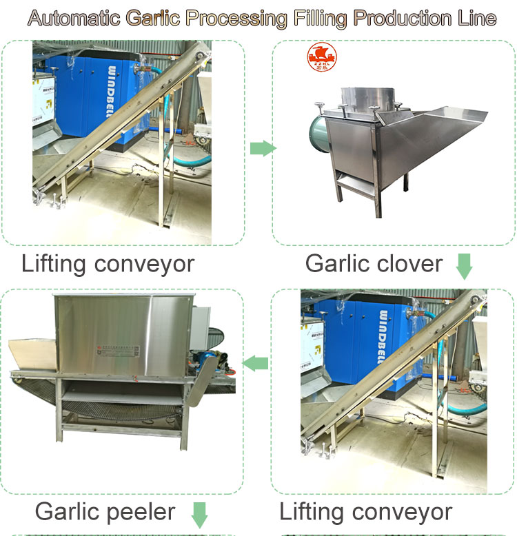 Industrial Garlic Peeling Machine Production Line Fully Automatic